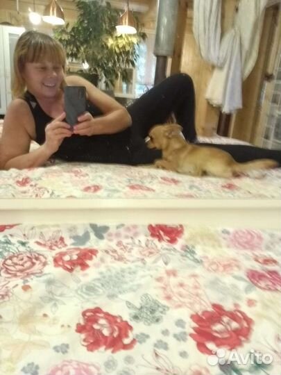 Передержка, для собачек и кошечек в частном доме