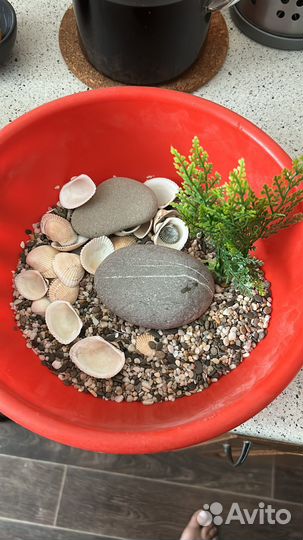 Грунт для аквариума