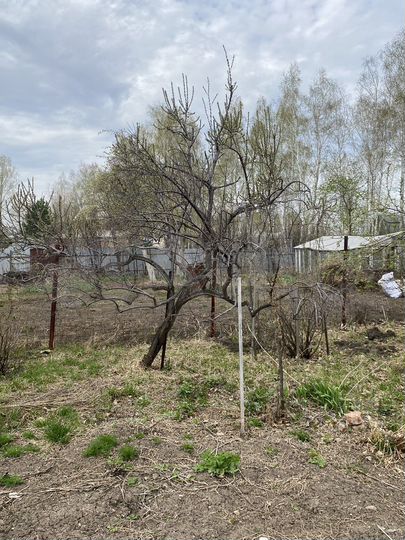 Дача 20 м² на участке 6 сот.