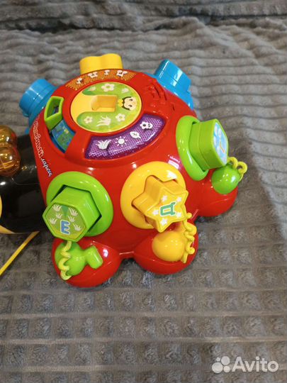 Божья коровка сортер