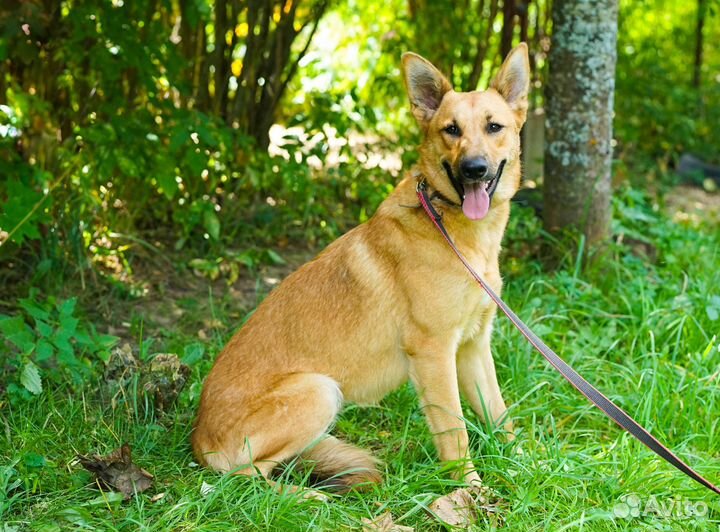 Маша хочет быть вашей