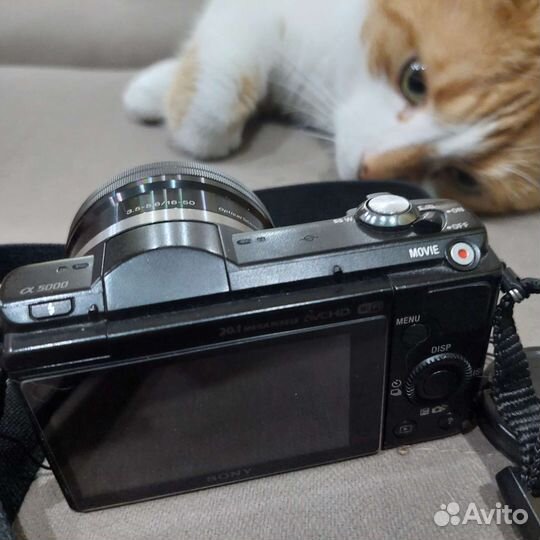 Sony alpha a 5000