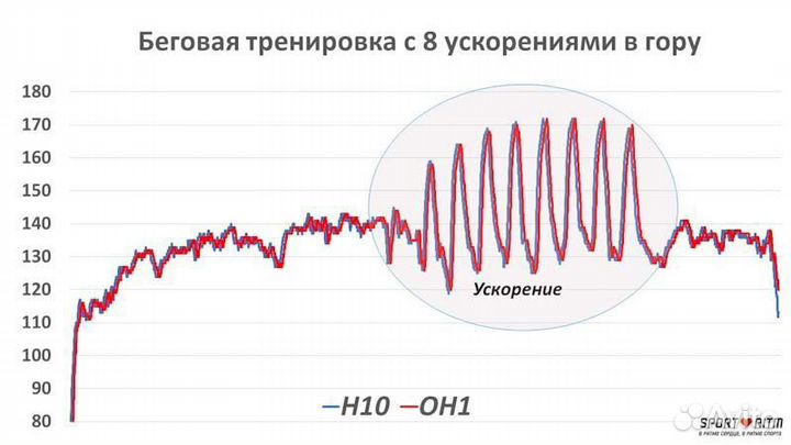 Пульсометр Polar OH1+