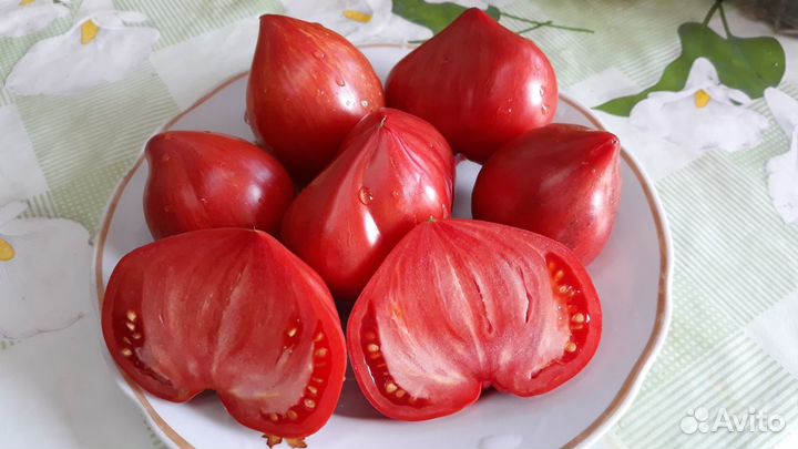 Семена томатов и перцев своего сбора