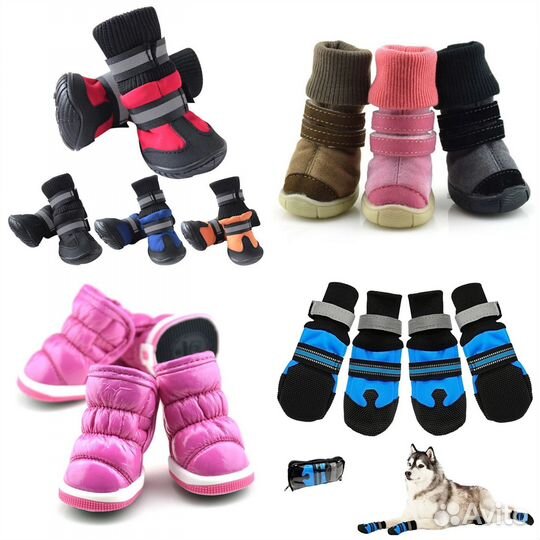 Сапожки для собак на все сезоны