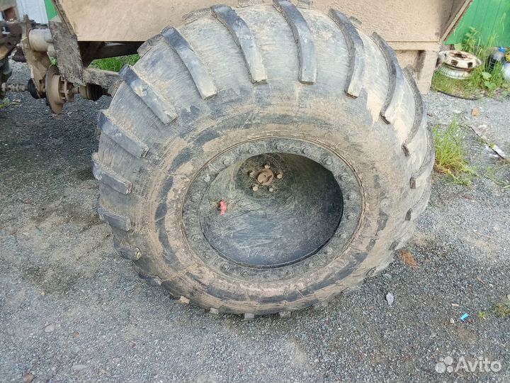 Продам каракат