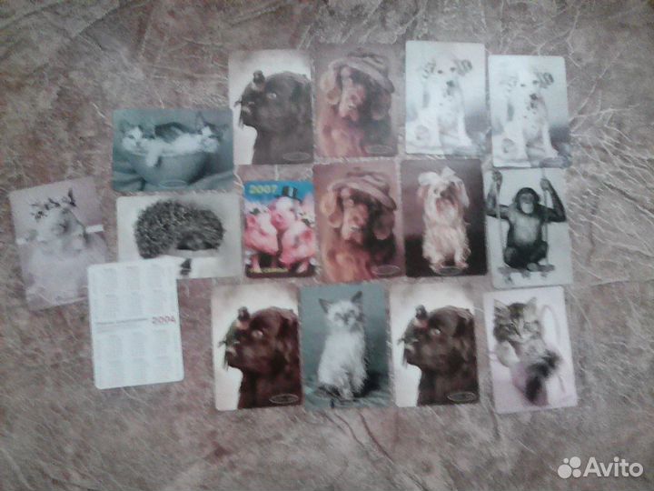 Новые Календарики Rachael Hael животные 16 шт