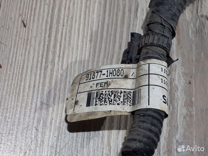 Проводка подкапотная двигателя Kia ceed 1 ED