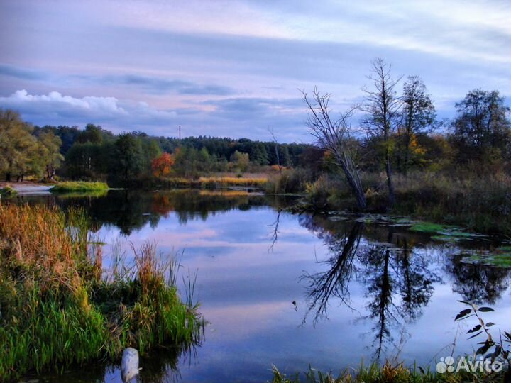 Разработка проектов зсо, лицензий на воду, запасы