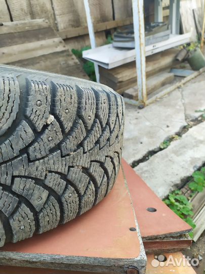 Nordman Nordman 4 205/60 R16