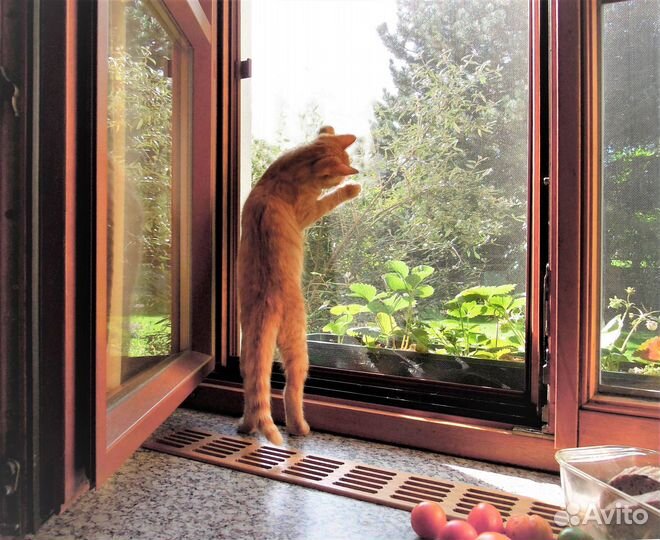 Москитные сетки антикот