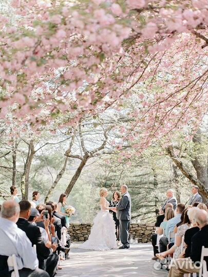 Организация свадьбы организатор координатор