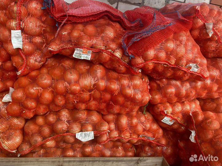 Продам свою, яблоки, лук, картофель
