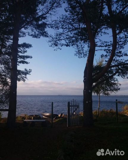 Рыбалка, грибные туры на озере Шотозеро и реке Шуе