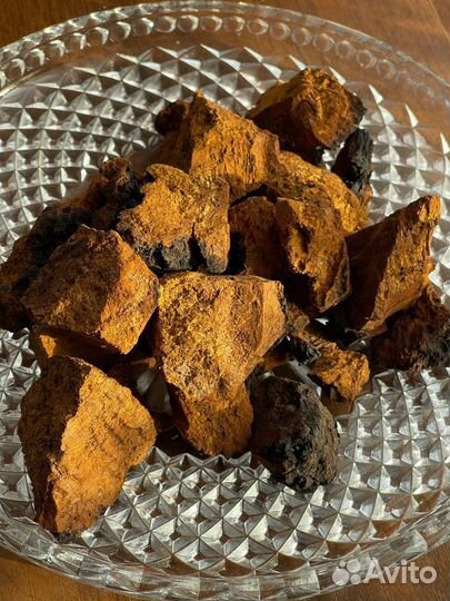 Березовая чага