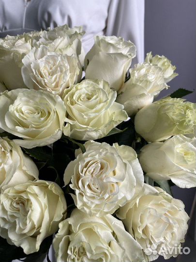 Белые розы Эквадор