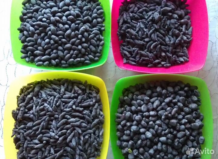 Жимолость: протертая ягода с сахаром без добавок