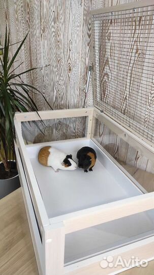 Вольер Клетка