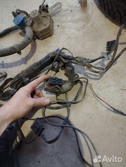 Гбо Lovato 4 поколения