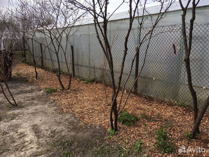 Щепорез аренда