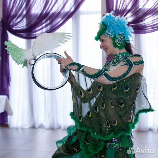 Дрессированные голуби, Огненное и Восточное шоу