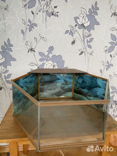 Аквариум для черепах