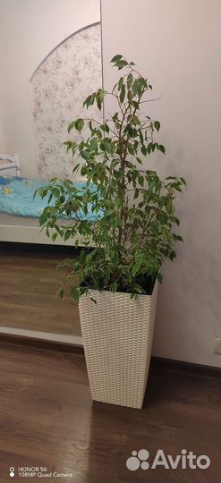 Кашпо напольное, новое