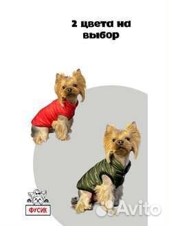 Одежда для собак