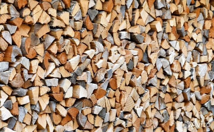 Дрова березовые