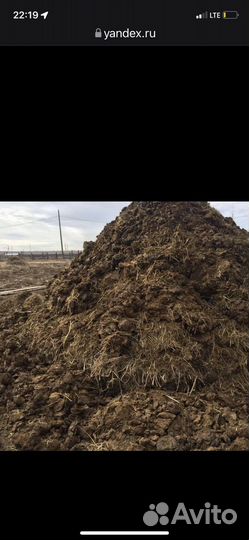 Навоз перегной