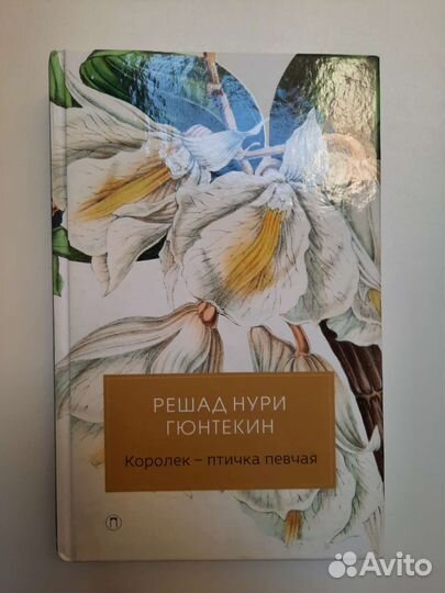 Королек птичка певчая