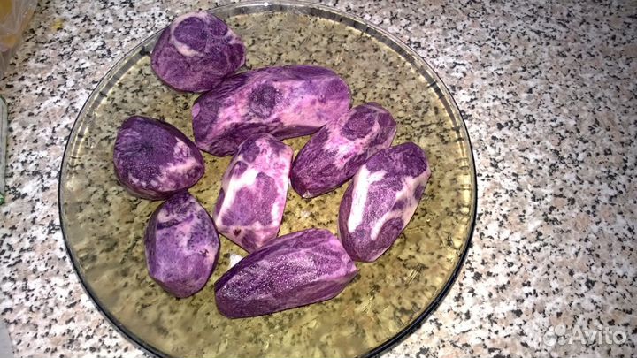 Картофель фиолетовый синий картошка на еду,посадку