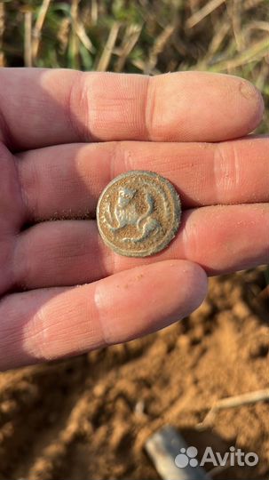 Лютый зверю