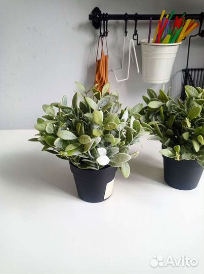 Искусственное растение Икеа