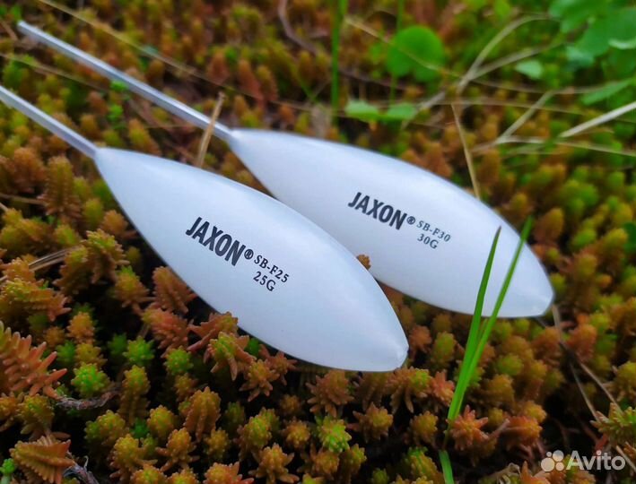 Сбирулино бомбарда