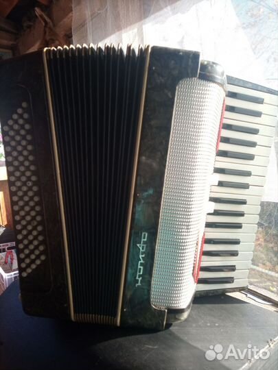 Аккордеон