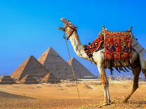 Поездка в Египет на 7 дней все включено