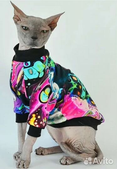 Одежда для кошек и собак