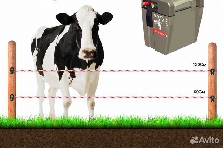 Электропастух