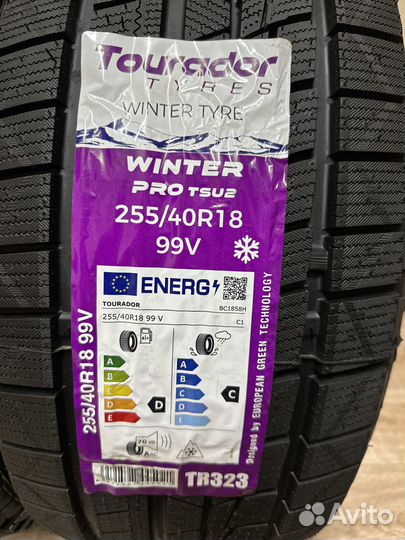 Tourador Winter Pro TSU2 255/40 R18 99V