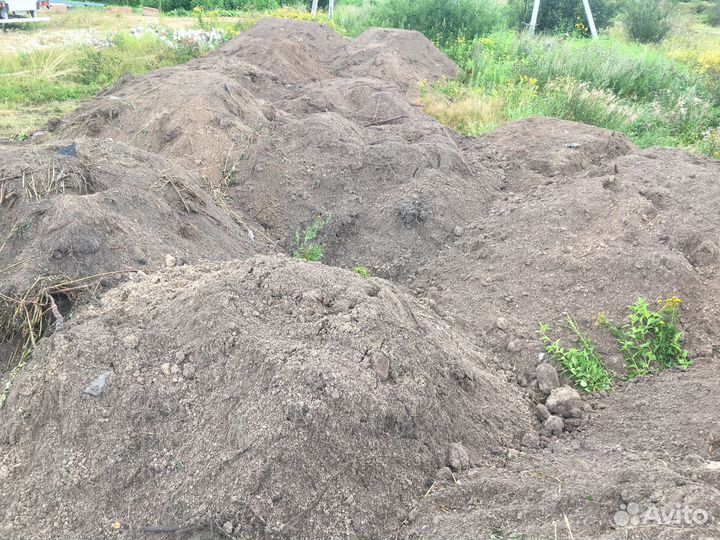 Приму грунт (с нас оплата)