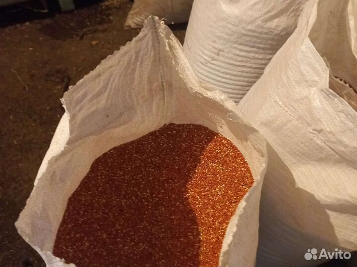 Просо красное