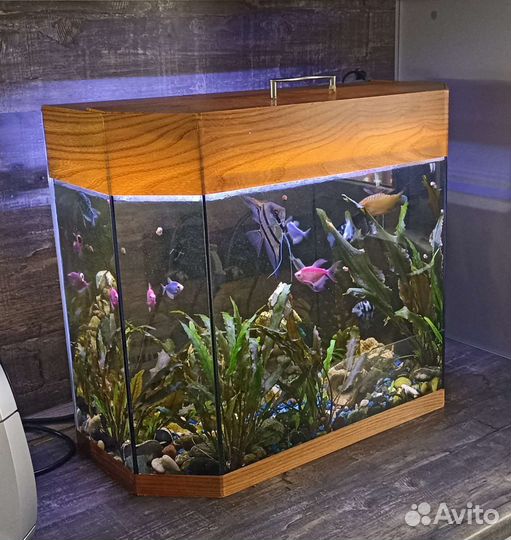 Аквариум 60 литров
