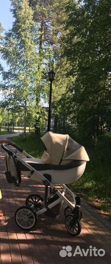 Коляска anex sport type 2 в 1