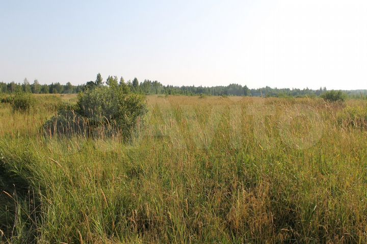 Участок 2,41 га (СНТ, ДНП)