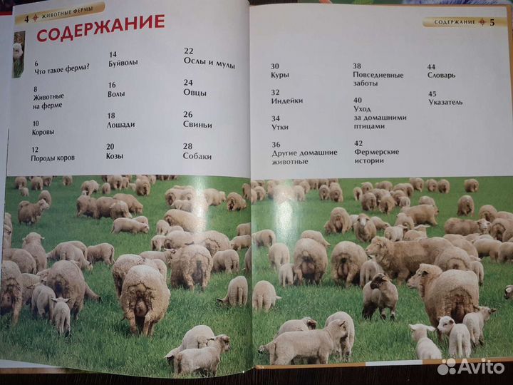 Детская энциклопедия