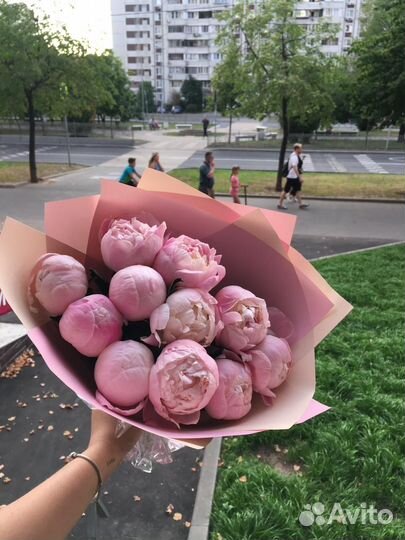 Розовые пионы свежак