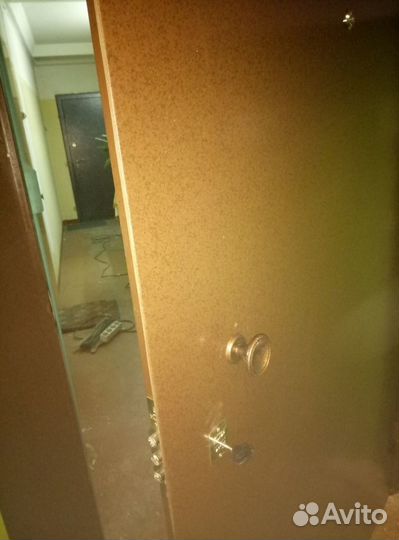 Стальная перегородка дверь в 9 этажку (На прямую )