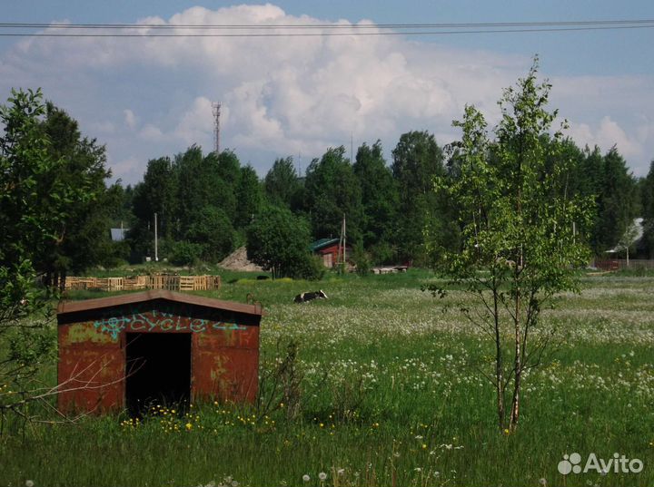 Фотограф на плёнку/мыльницу