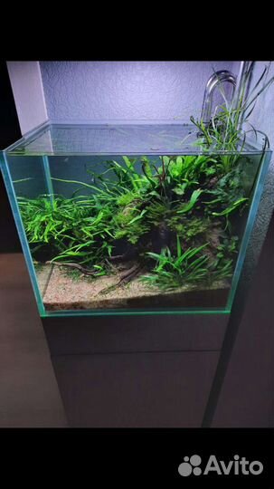 Аквариумы для Акваскейпа